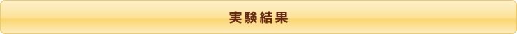 実験結果